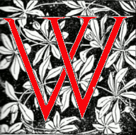 decorated initial 
'W'