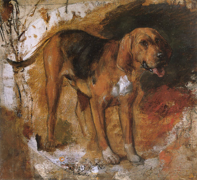 Study of a Bloodhound