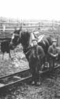 Tipper and younger lad, 1890s