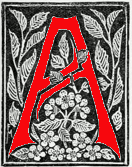 Decorated initial TA