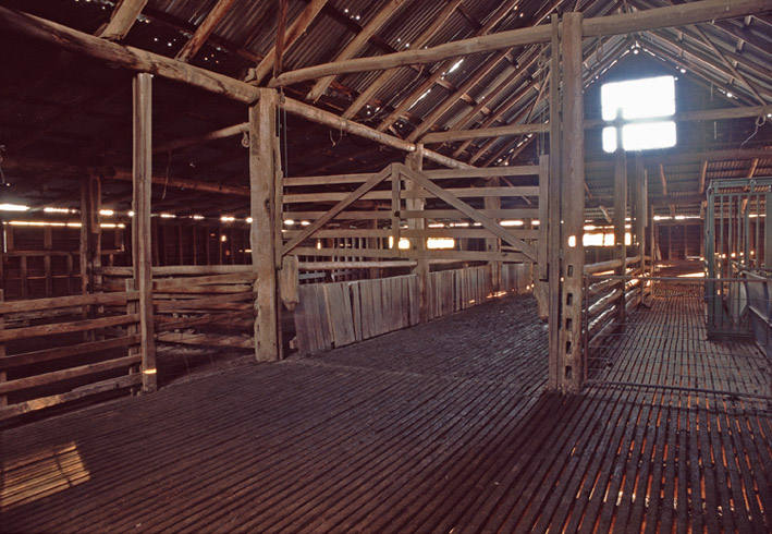 Interior, Freemantle Woolshed