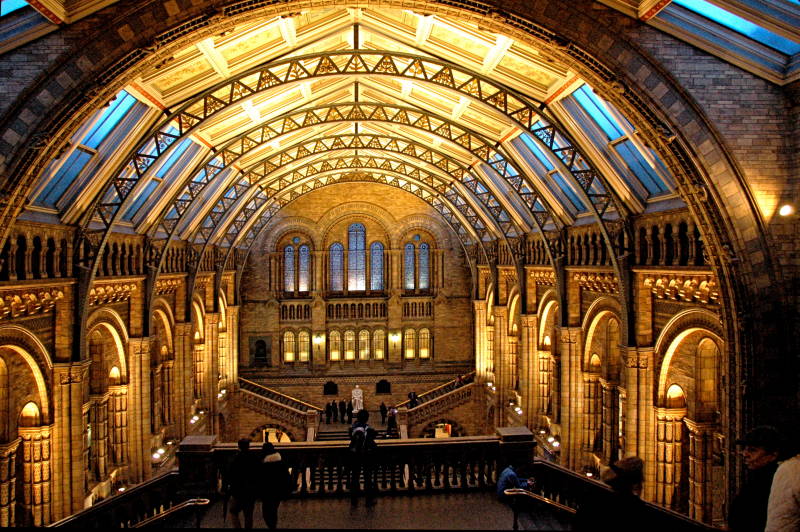 natural history museum london interior