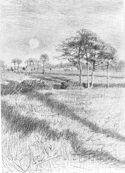 >Drawing of a Field with Trees