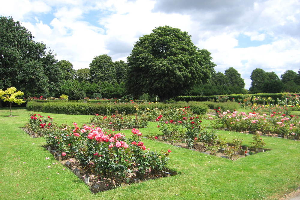 the-city-of-london-cemetery