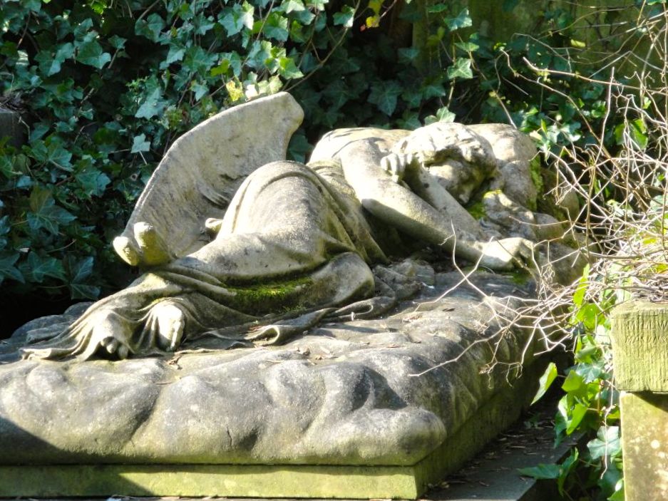 Кладбище во сне для женщины и могилы