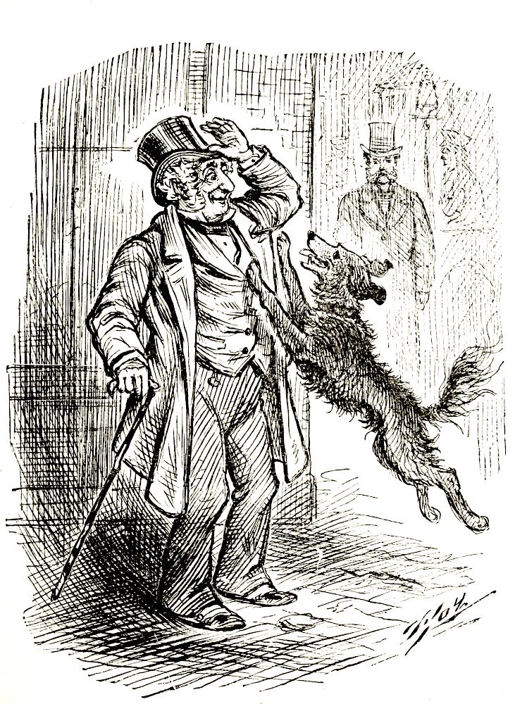 The Victorians and Animals, V: Animal Rescue