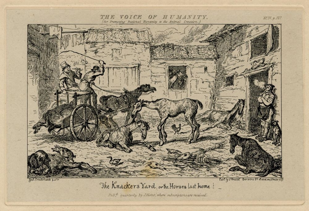 The
Knacker’s Yard, or the Horses last home!