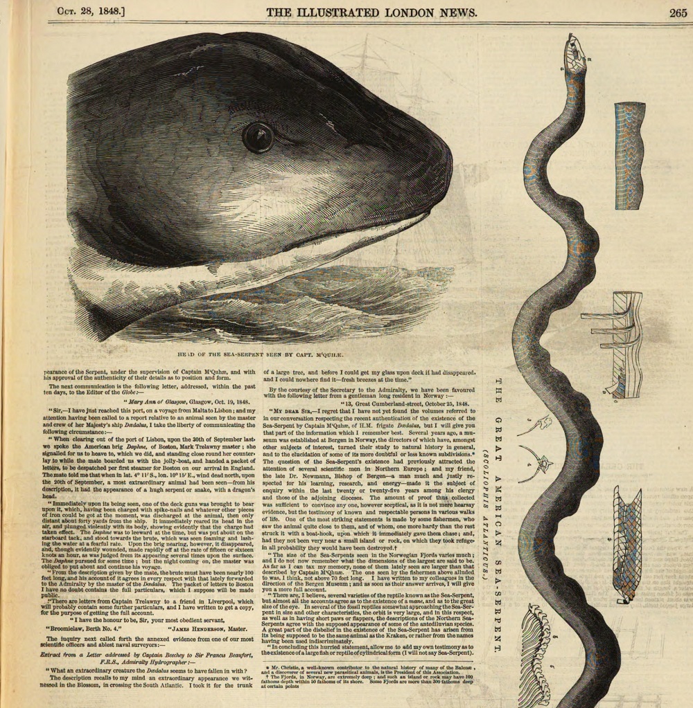 Monstrous 'gorgons' survived a mass extinction, but they were a