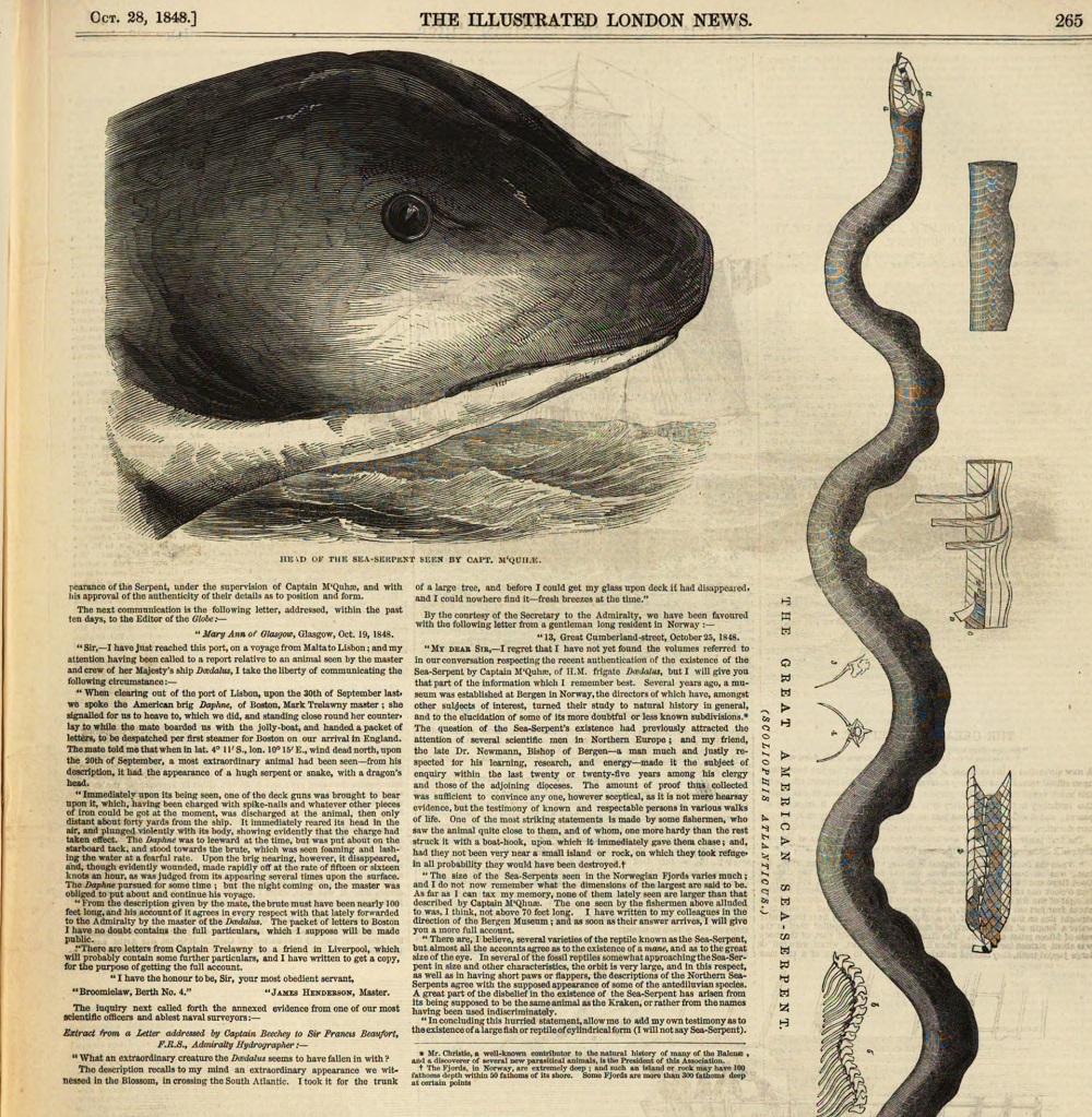 Confronting The Possibility Of Monsters In 'The Essex Serpent