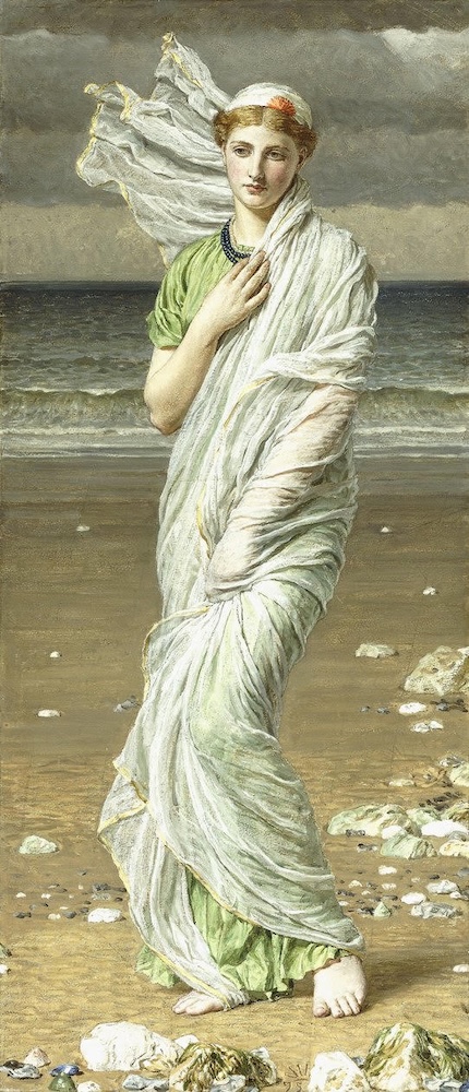 Sea-Shells