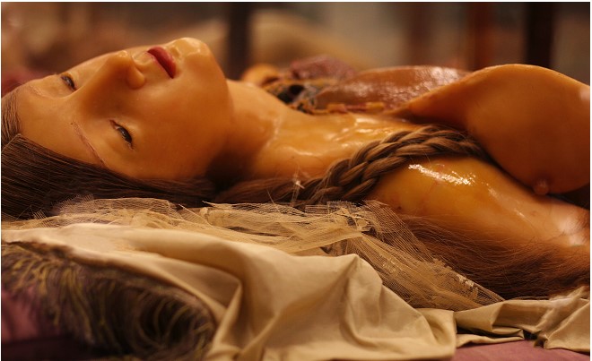 Anatomical Medici Venus