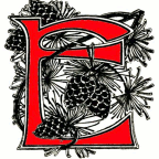 decorative initial 'E'