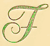 Decorated initial F