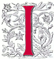Decorated initial W