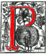 Decorated initial P