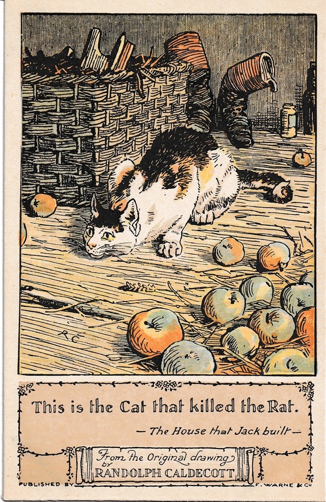 This is the cat that killed the rat