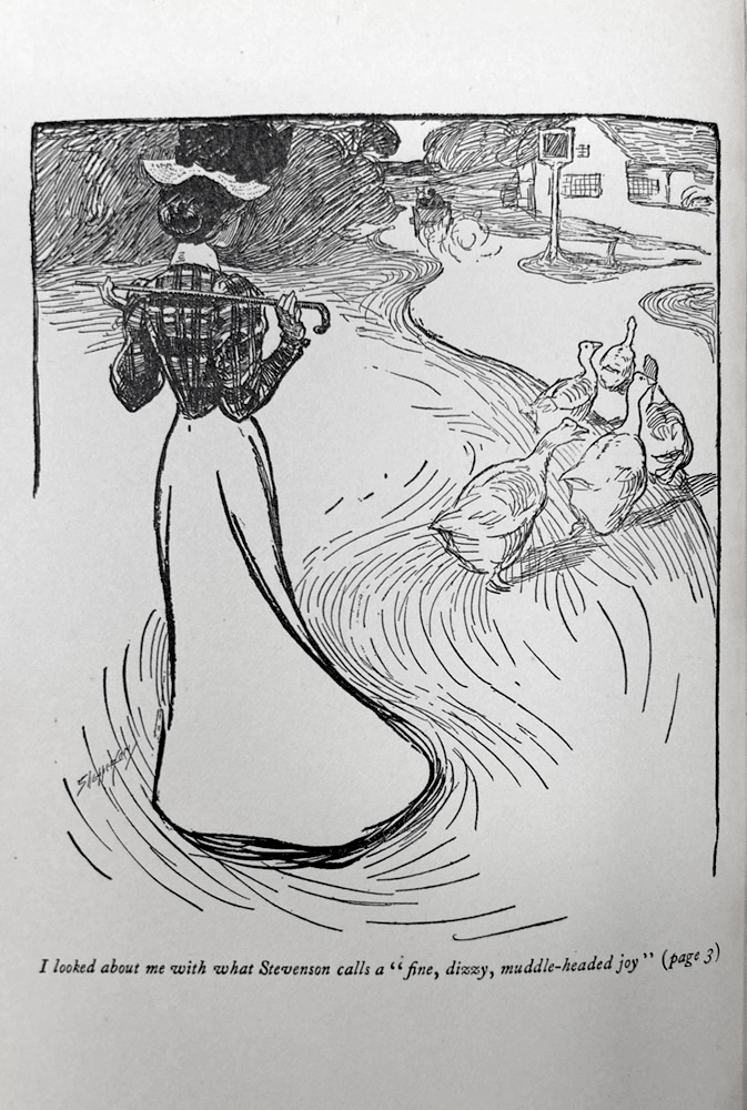 Diary of a Goose Girl