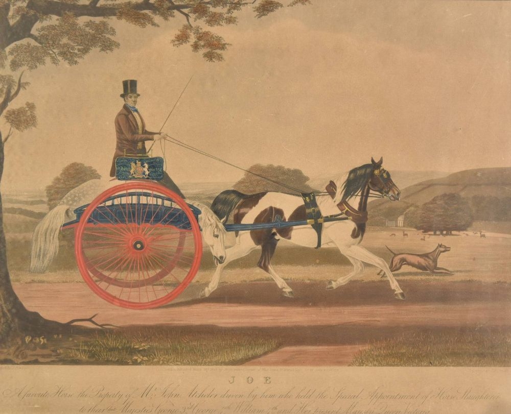 John
Atcheler driving a Dead Horse Cart