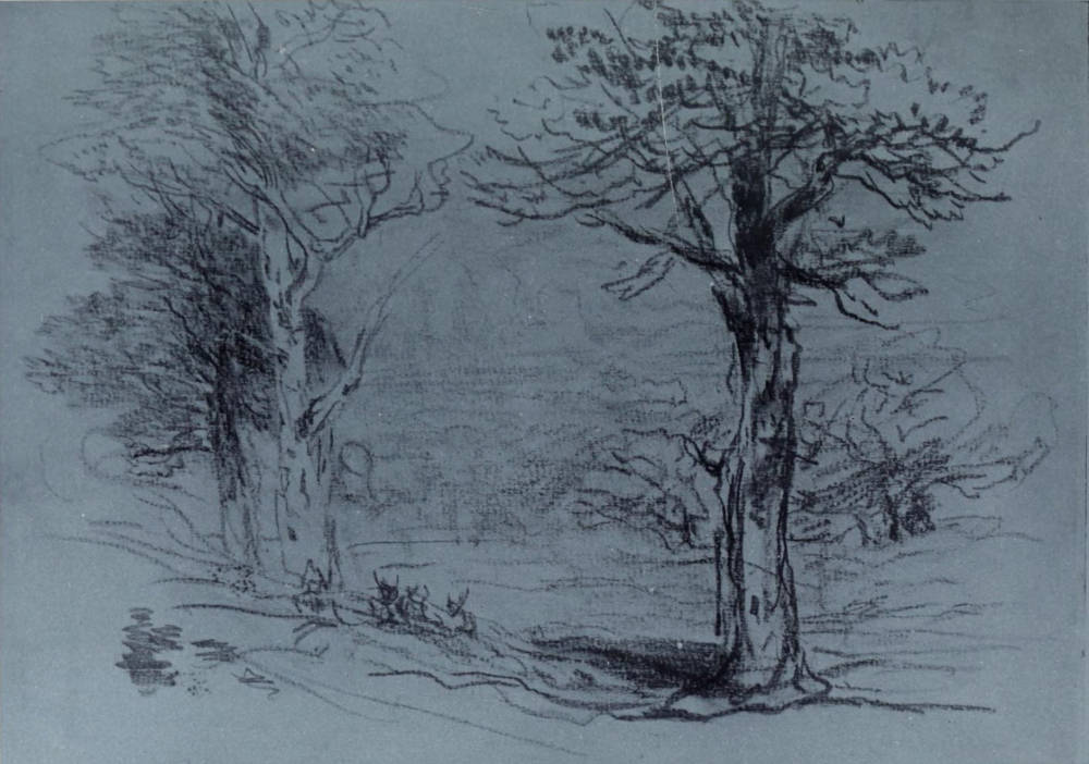 A Study of Trees