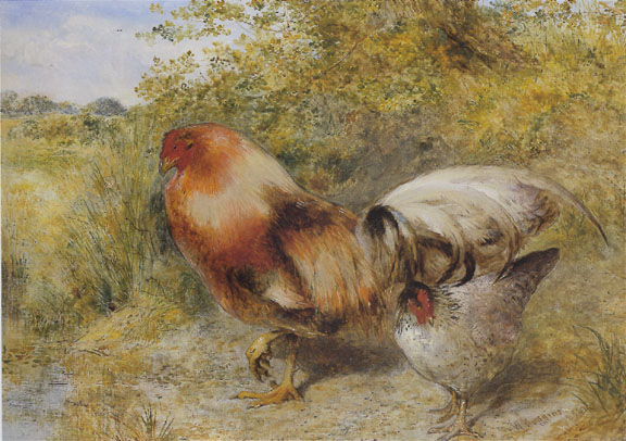 Poultry in a Landscape