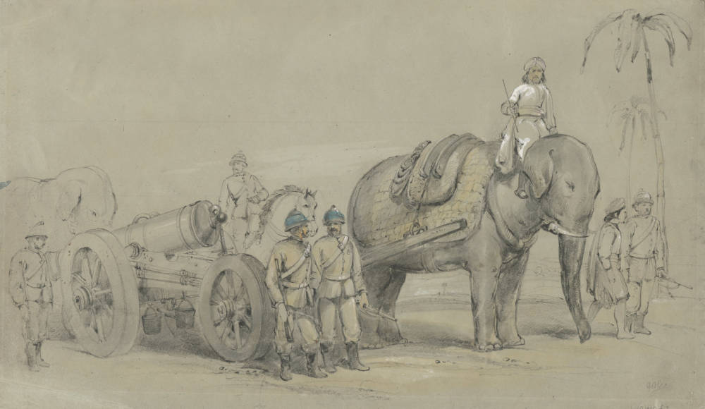 Indian elephant artillery battery