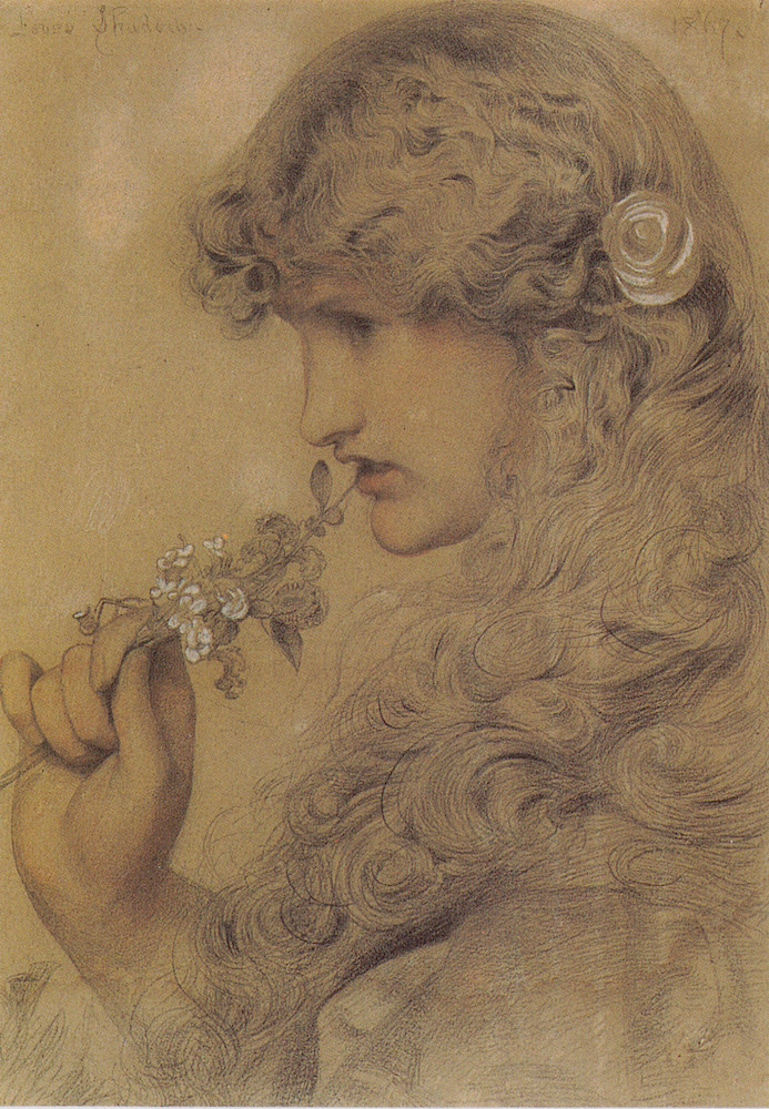 Love's Shadow, drawing