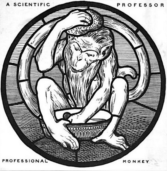 Monkey roundel