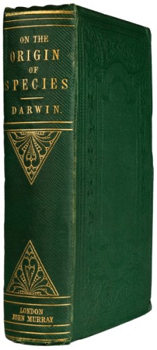 Spine and Cover for Darwin's On the Origin of Species